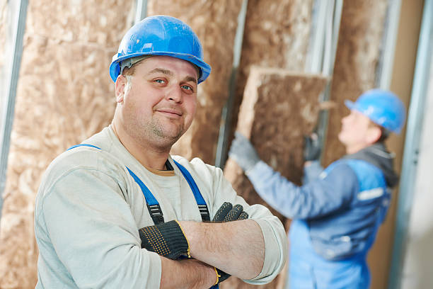 Best Geographic-Specific Insulation Services in Mena, AR